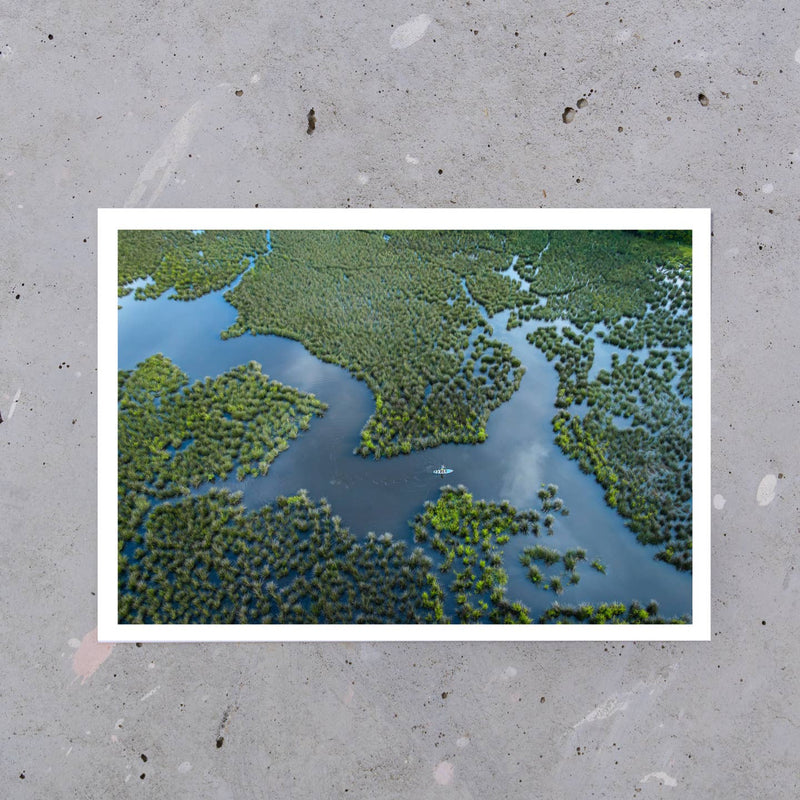 Ocean Springs Postcard