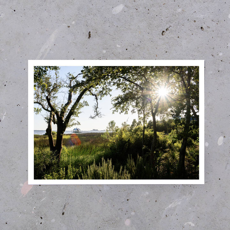 Ocean Springs Postcard