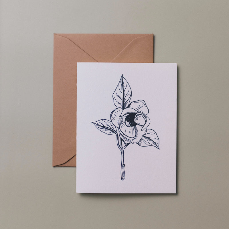 Magnolia Greeting Cards