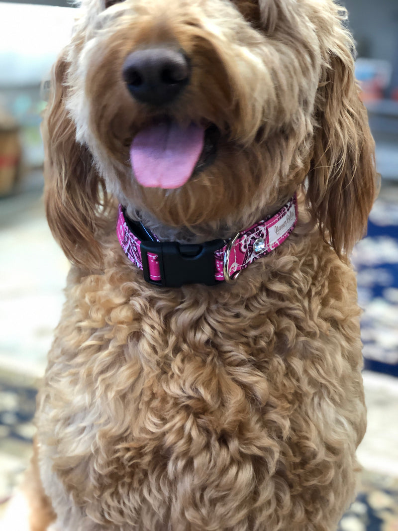 Christmas Pet Collars